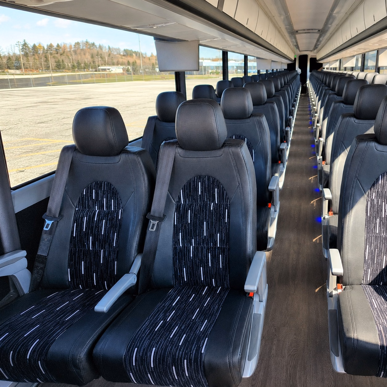 compare buses in minutes not days