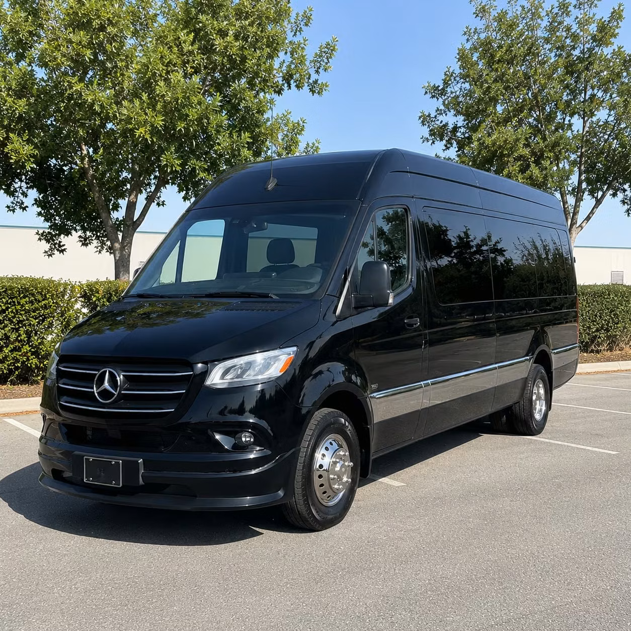 sprinter van with driver